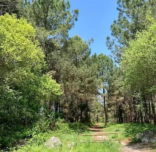 La Azur - Chaleureuse Maisonnette Avec Piscine Partagee * Капбретон